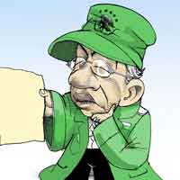 Mostrar el cartón