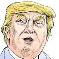 Mostrar el cartón