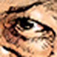 Mostrar el cartón