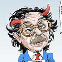 Mostrar el cartón