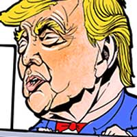 Mostrar el cartón