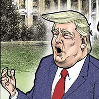 Mostrar el cartón